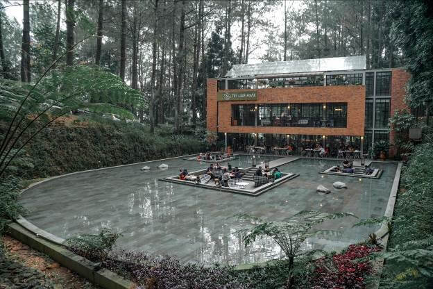  Menyantap Pizza Di Tengah Hutan